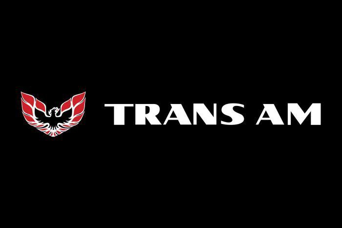 Kotflügelschoner mit - Trans Am - Logo, Stück