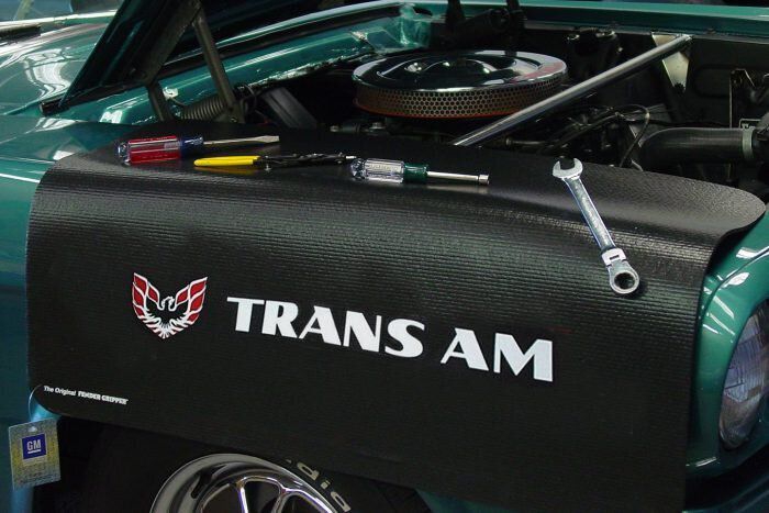 Kotflügelschoner mit - Trans Am - Logo, Stück