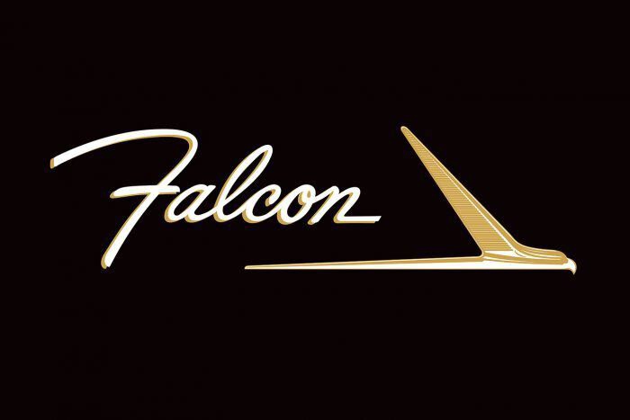 Kotflügelschoner mit  - Falcon - Logo, Stück